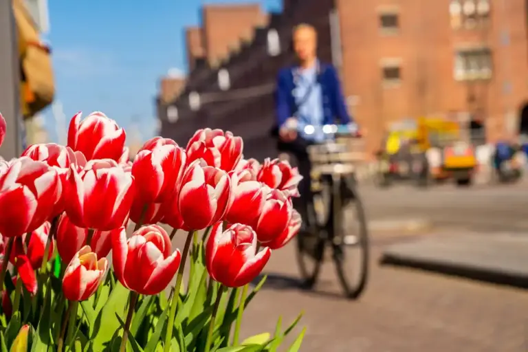 Dutch travel hotspots 2024
