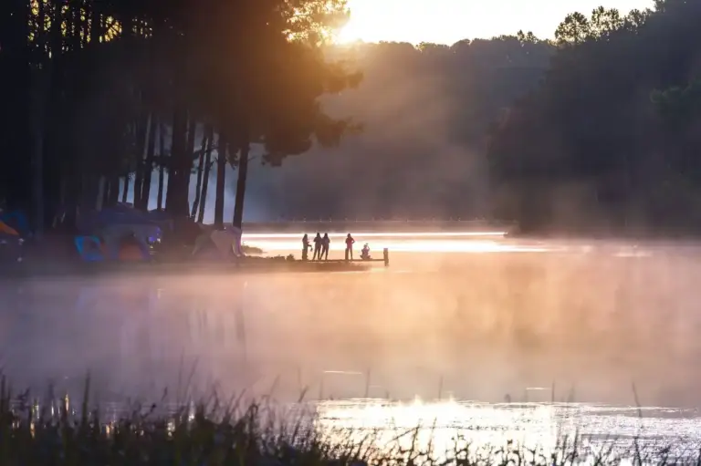 Netherlands summer outdoor activities nature festivals