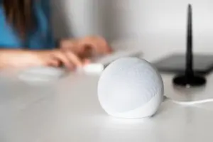 smart speaker comparison lifestyle home