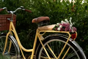 Dutch countryside bike vacation local markets