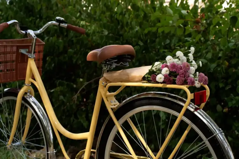 Dutch countryside bike vacation local markets
