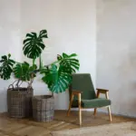 cozy living room with green accents