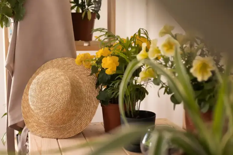 cozy home interior affordable lighting plants decor
