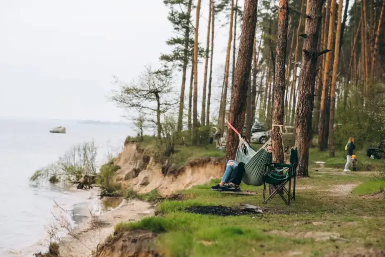 hidden beach forest Netherlands day trip