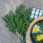 fresh herbs cooking kitchen Dutch cuisine