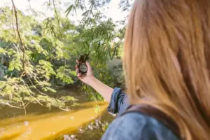 Hidden gems in the Netherlands summer travel