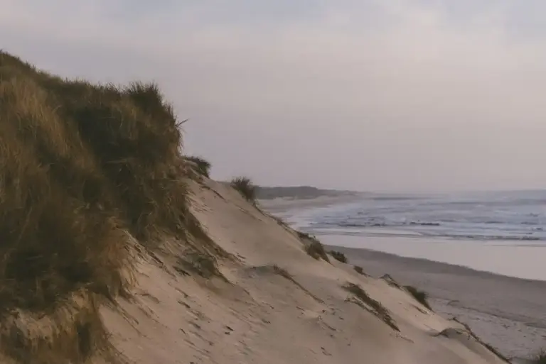Dutch beach coast sea summer