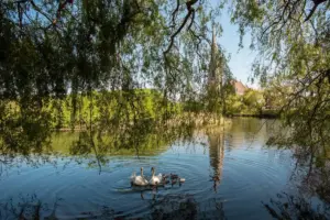 Dutch hidden travel spots weekend getaways nature