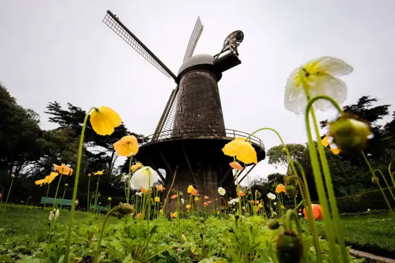 budget travel Netherlands nature sightseeing