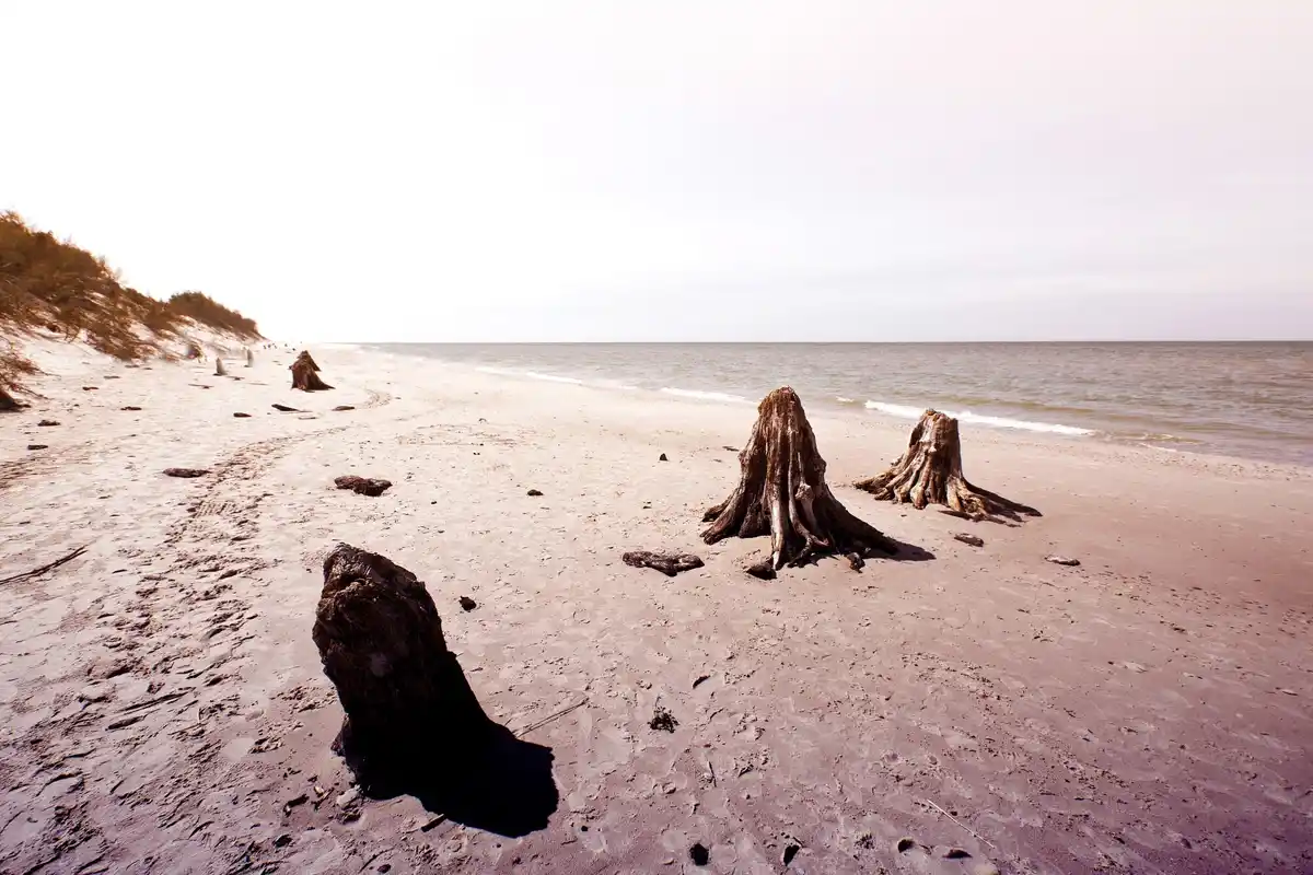 hidden secret beaches Netherlands
