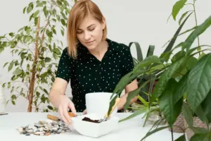 personal budgeting small savings