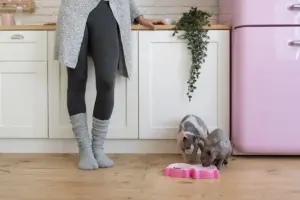 organized home without daily cleaning