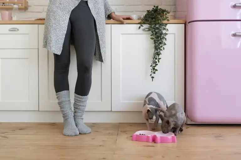 organized home without daily cleaning