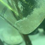 Hoe de invloed van de industrie de strijd tegen giftige forever chemicals ondermijnt