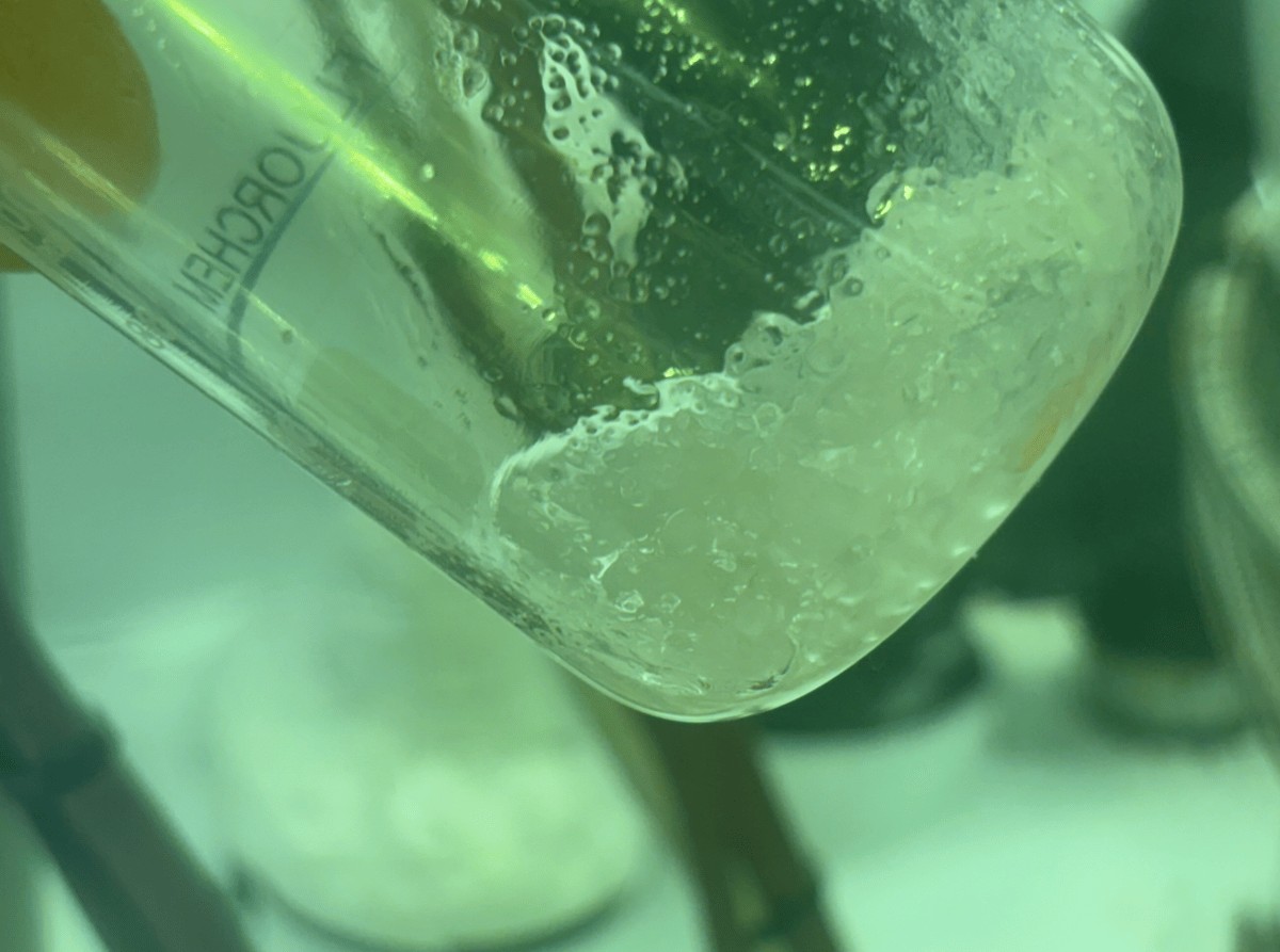 Hoe de invloed van de industrie de strijd tegen giftige forever chemicals ondermijnt